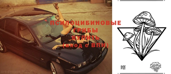 героин Алексин