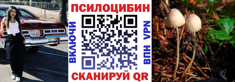 дарнет шоп Заполярный Псилоцибиновые грибы прущие грибы